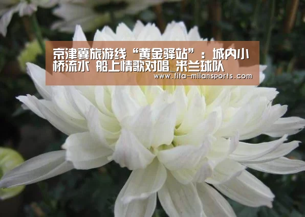 京津冀旅游线“黄金驿站”:城内小桥流水 船上情歌对唱_米兰球队(图2) 米兰体育新闻